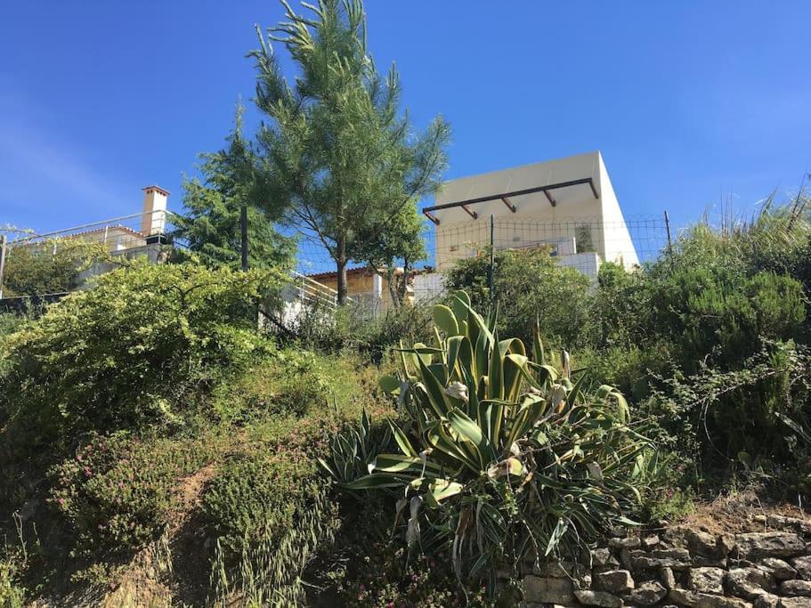 A Casa Da Lua Tomar Exterior foto